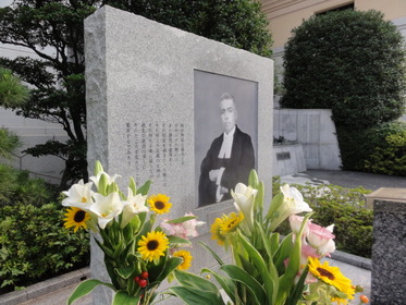 �ѡ���Ƚ����