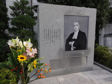 �ѡ���Ƚ��