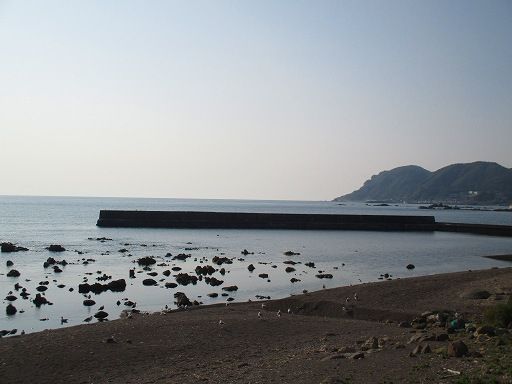 お魚海岸 (2)