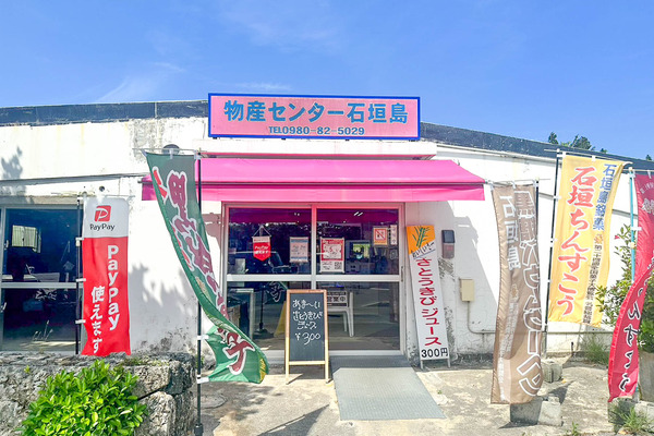 さとうきび-2405072