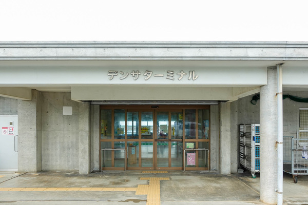 西表島-2309071