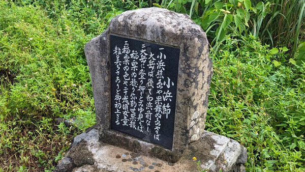 展望台-7