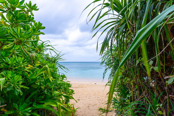 hirakubobeach-23072612