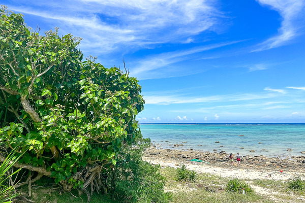 えこロード-24062117