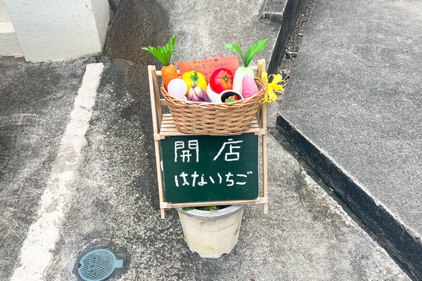 hanaichigo-2404052