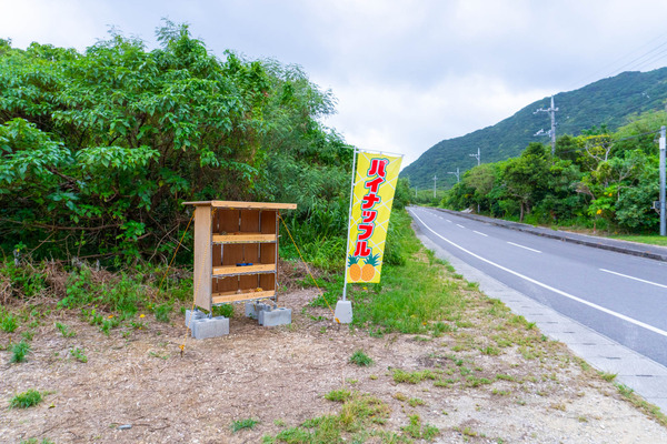 hirakubobeach-2307262