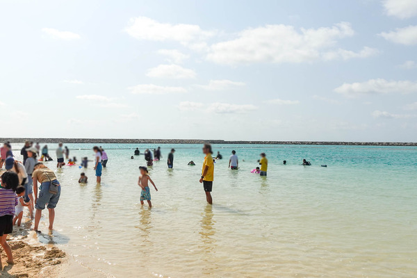 海びらき-2403169