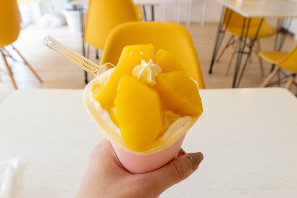 cottoncafe-2404075