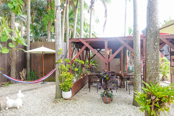 椰子の木　そうや-24020722