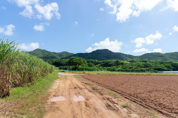 hiranobeach-2309094
