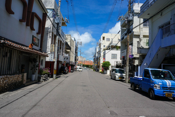 樹園-2307252