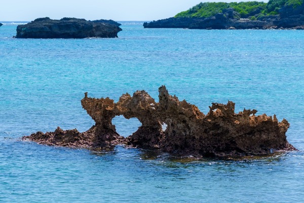 97483-17-8b5234e2aee63952ba7aafe