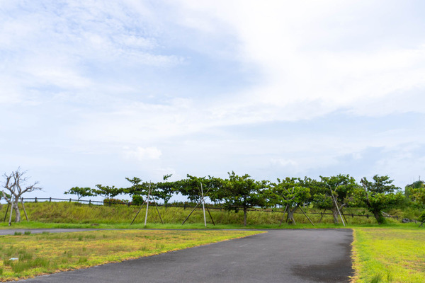 painuhamapark-23072726