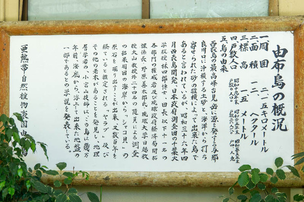 由布島20230713114234