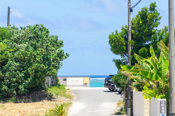 モンカレー-2307125