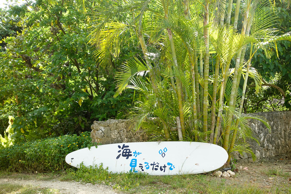 海が見える-2308242