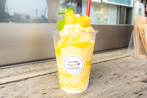 マンゴー-2310055