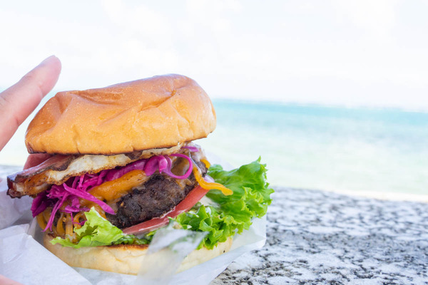 ハートランド-2307137