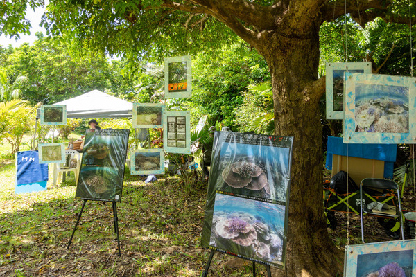 しまのしぜん-23091011