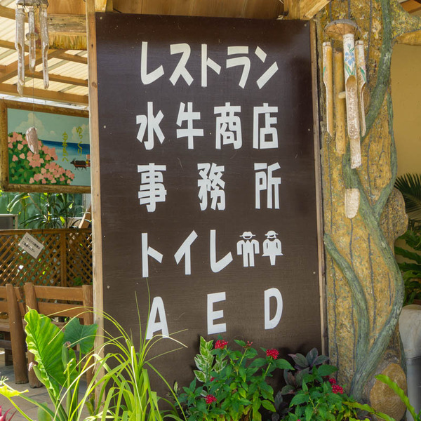 由布島20230713114228