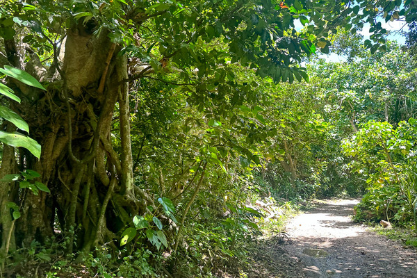 えこロード-2406218