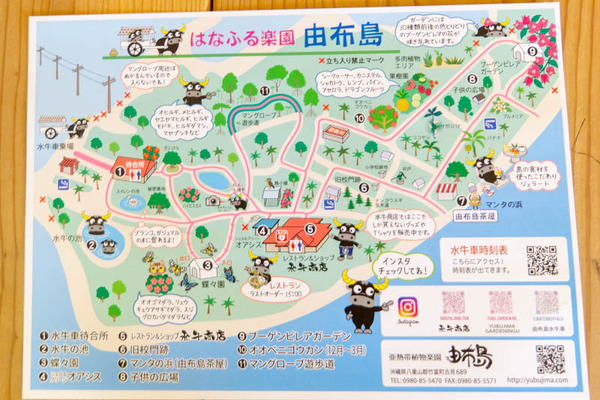 由布島20230713102524