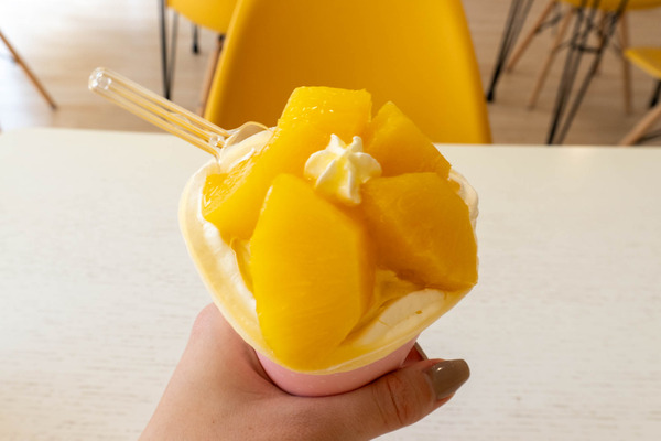 cottoncafe-2404076