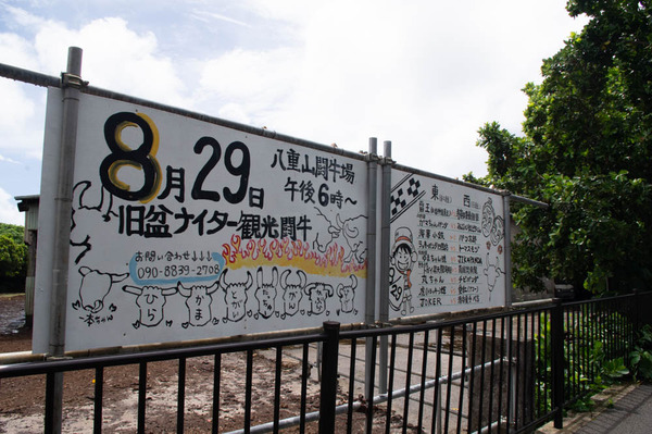 くま-8