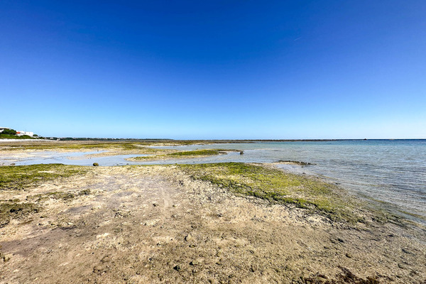 大浜海岸-2312155