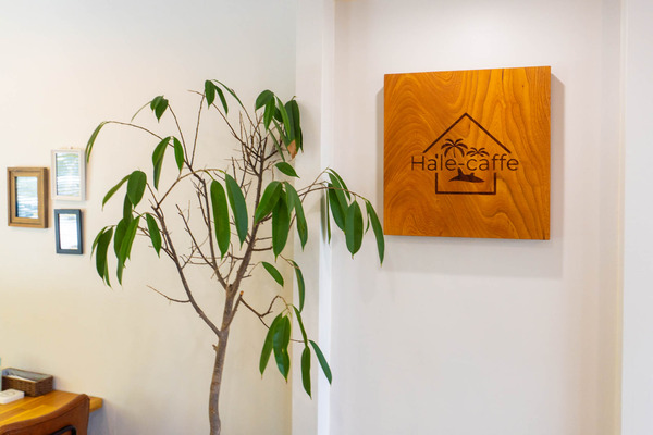 Hale-Caffe(Open)-2309067
