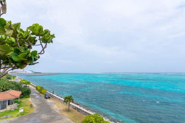 painuhamapark-23072719