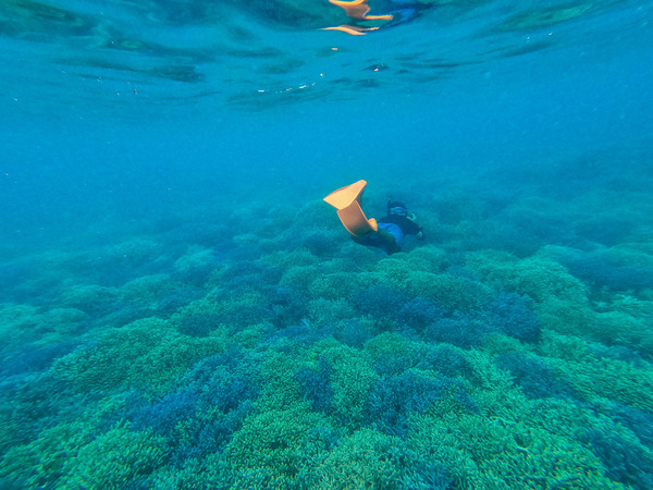 シュノーケル-23090714-2