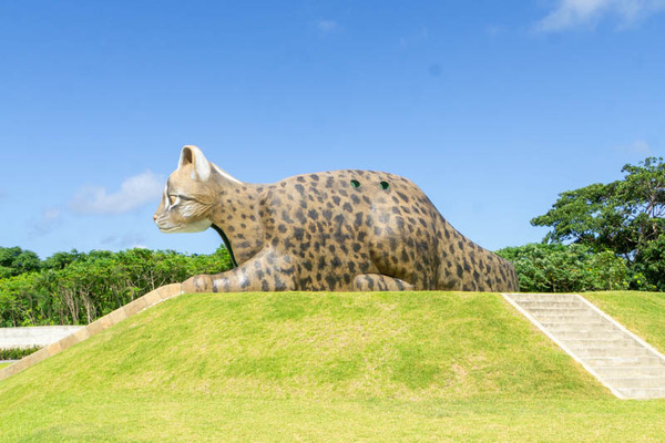 やまねこパーク20230713093550