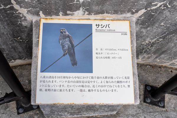 birdwatching-2402199
