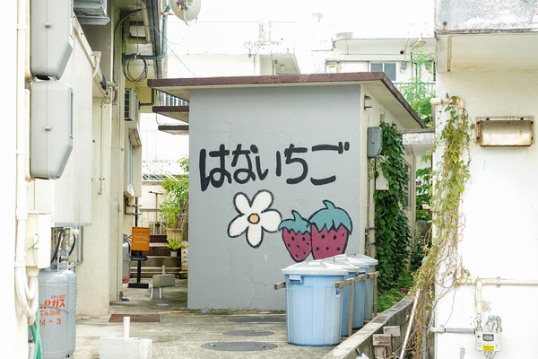 はないちご-2308302