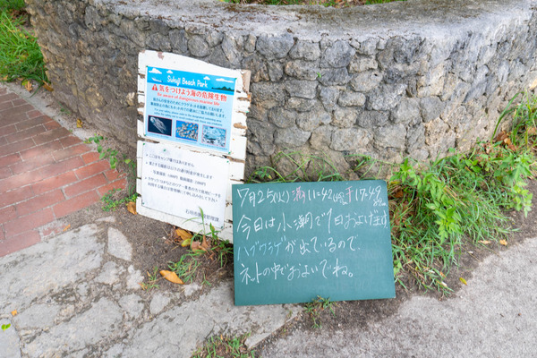 Sukuji-beach-2307252