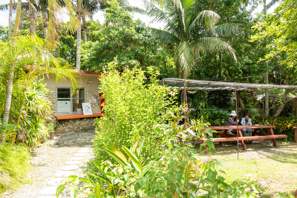 しまのしぜん-2309104