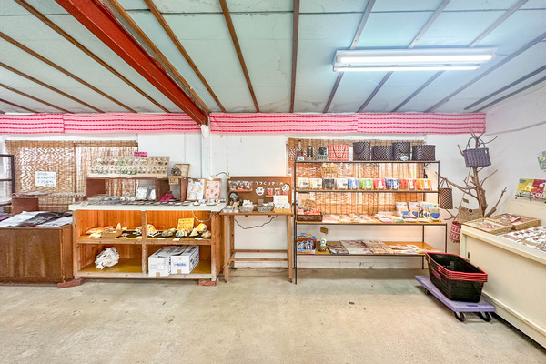 さとうきび-2405078