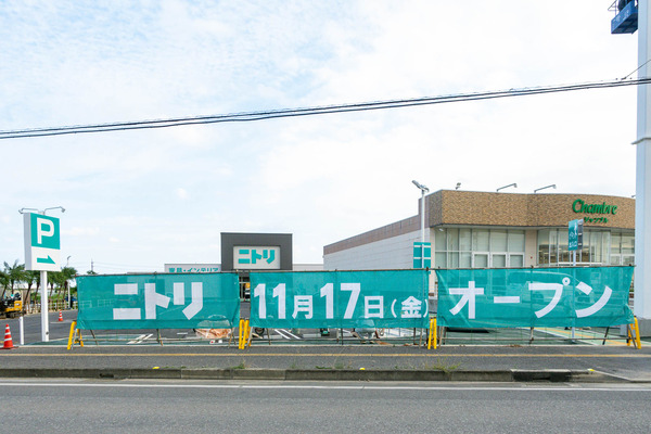 ニトリ-2310181