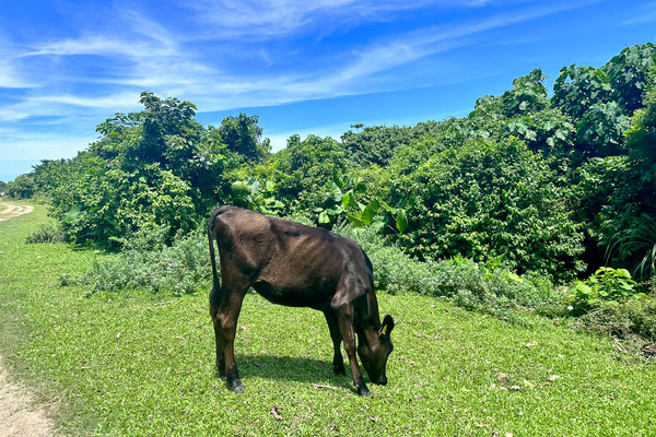 えこロード-2406217