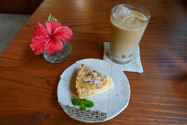 しろくま-2402225