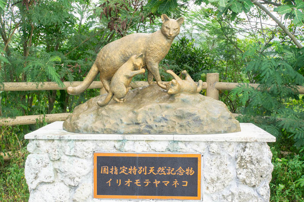 後良川20230713100913