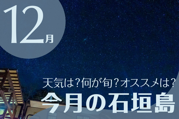 今月の石垣島