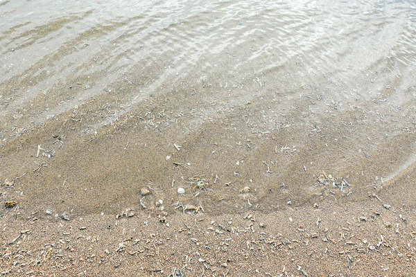 細道-23082410