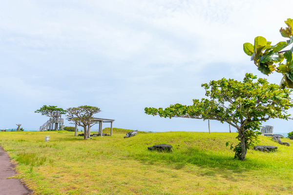 painuhamapark-2307271