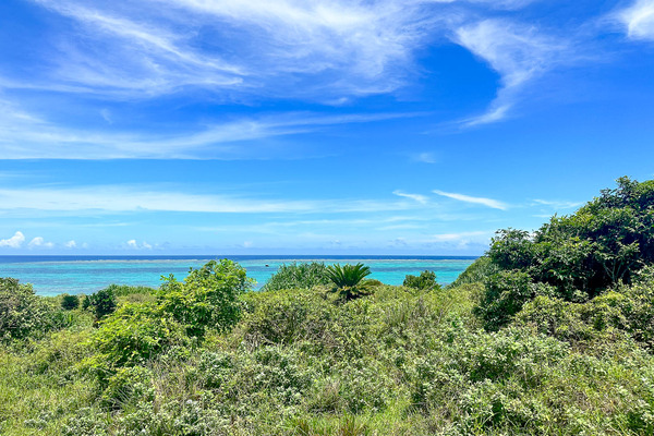 えこロード-24062110