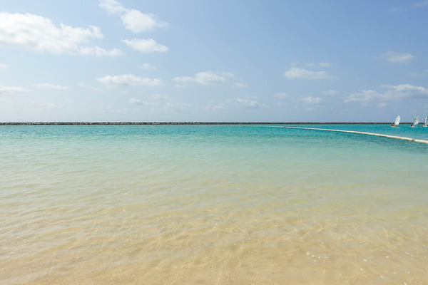 海びらき-2403168