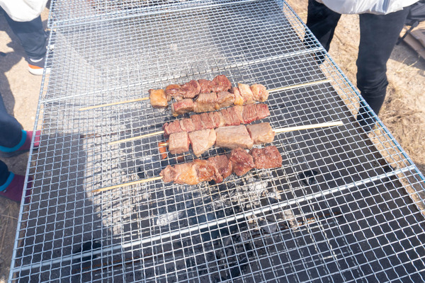 bbq-23111824