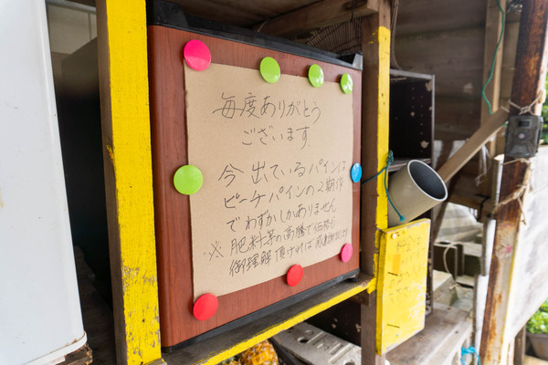 mujinpine-2309086