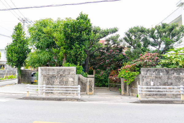 waidu-2401281